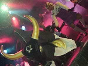 O Boi Caprichoso fez uma grande evolução!