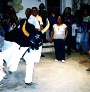 O Boi levado de Parintins para Minas, pelo tio de Jean