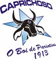 Boi+Caprichoso